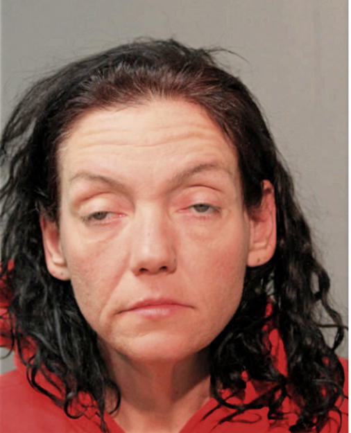 MICHELLE LYNN DEE, Cook County, Illinois