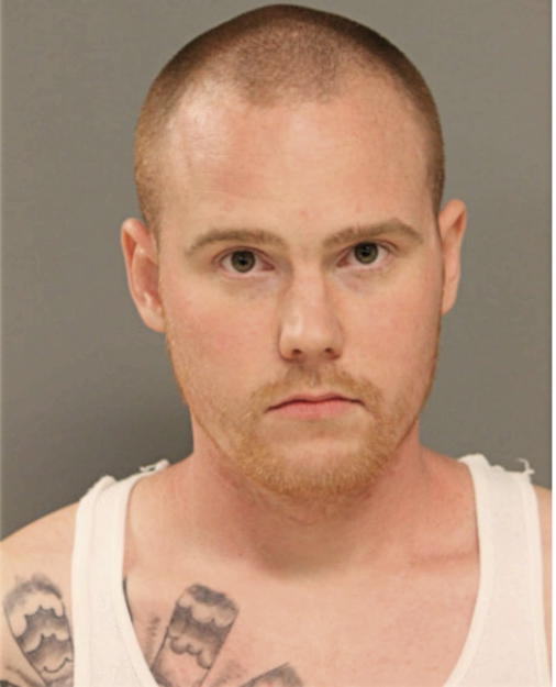 MICHAEL J DWYER, Cook County, Illinois