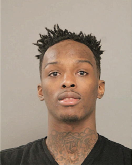 CURTIS A ECHOLS, Cook County, Illinois