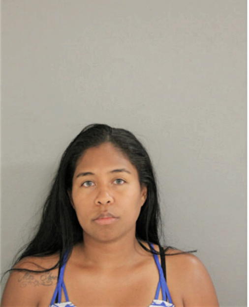 HEATHER E ELLISON, Cook County, Illinois
