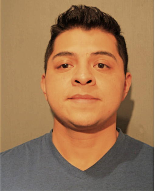 JUAN C GONZALEZ, Cook County, Illinois