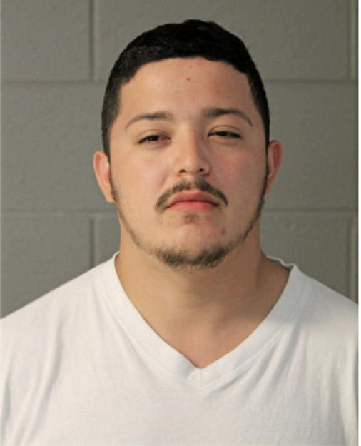 MARCO HERNANDEZ, Cook County, Illinois