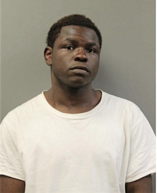 DESHAUN K LAMB, Cook County, Illinois