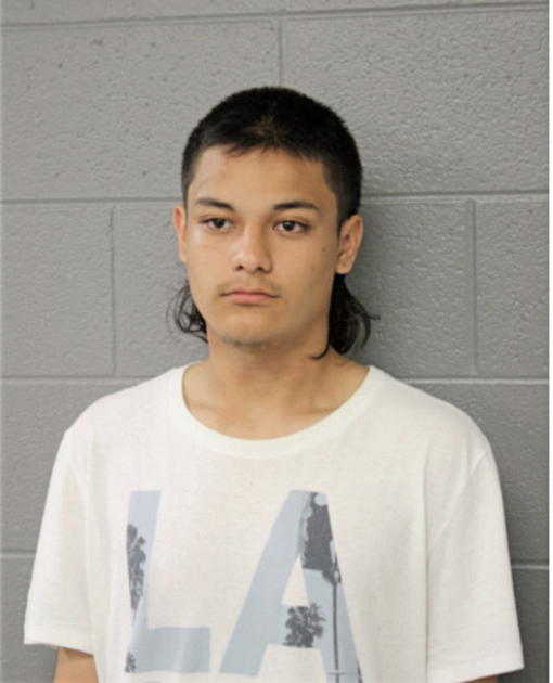 ALEXIS LOPEZ, Cook County, Illinois