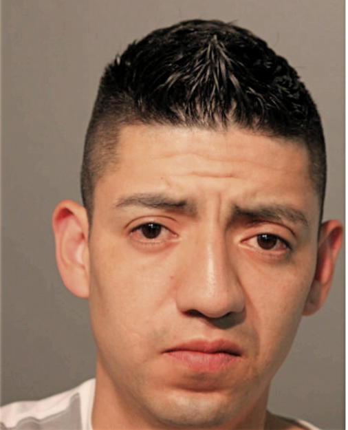 LEONARDO MENDOZA, Cook County, Illinois