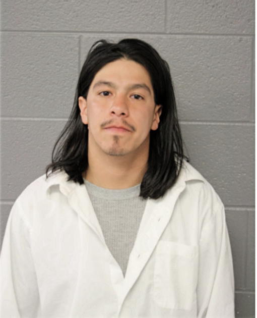 RICARDO MENDOZA, Cook County, Illinois
