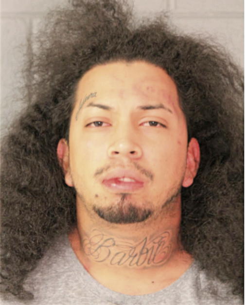 ERICK R ORELLANA, Cook County, Illinois