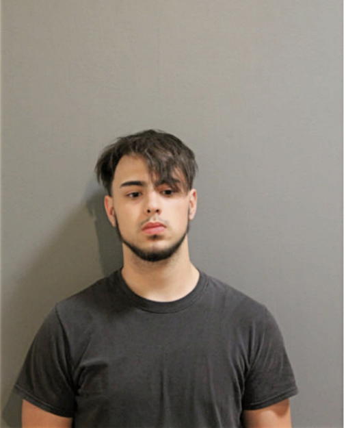 JOHN R RUIZ, Cook County, Illinois