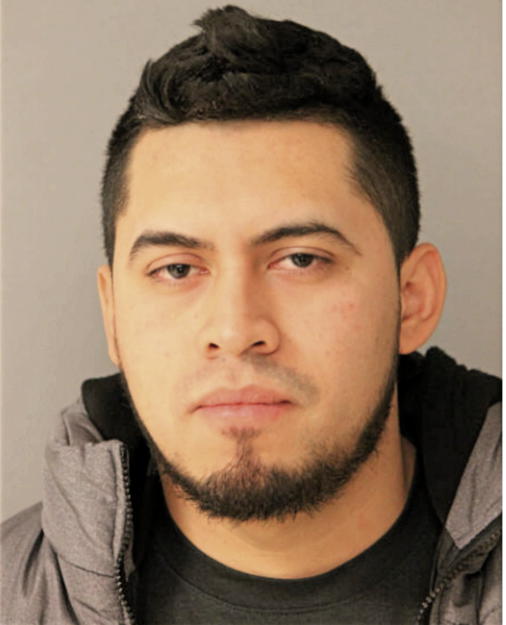 ANDRES TREJO, Cook County, Illinois