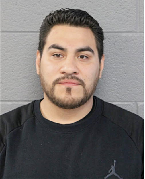 JUAN C VILLALOBOS, Cook County, Illinois
