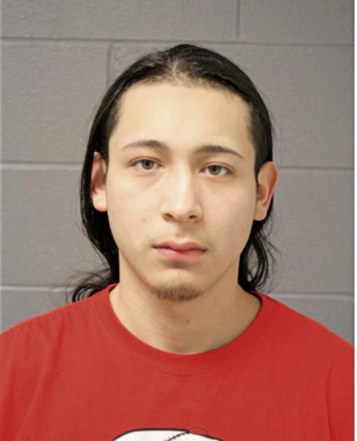 SERGIO ARANDA, Cook County, Illinois