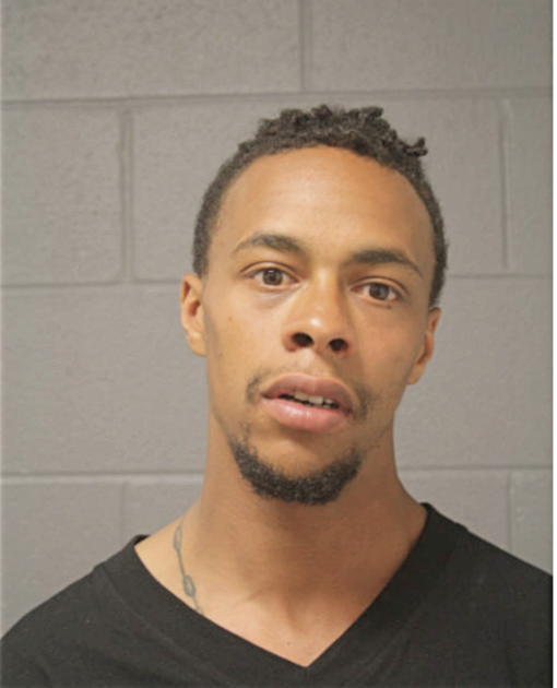 JEFFERY S BEDENFIELD, Cook County, Illinois