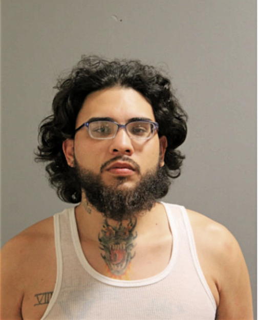 LUIS A COLUNGA, Cook County, Illinois
