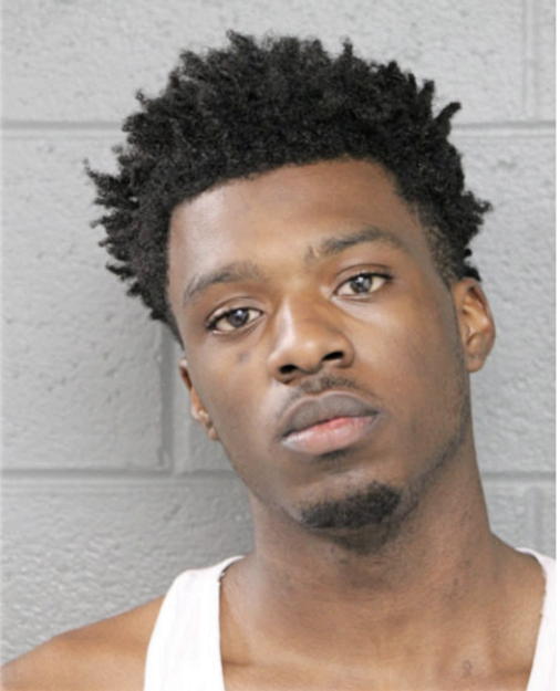 CRAIG L DAVIS, Cook County, Illinois