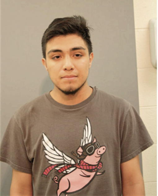 EDGAR DIAZ, Cook County, Illinois