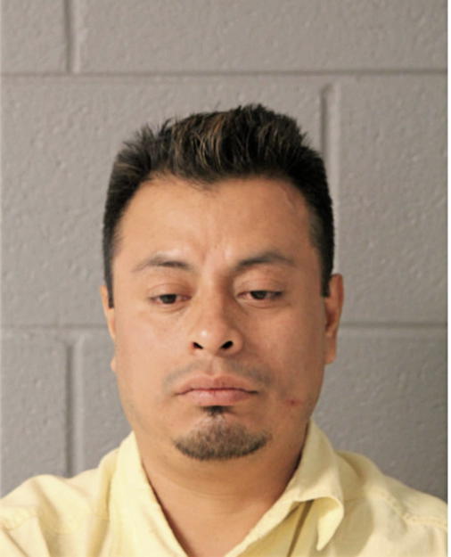 ANDRES DOMINGUEZ, Cook County, Illinois