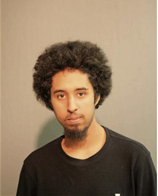 ANTHONY M FELICIANO, Cook County, Illinois