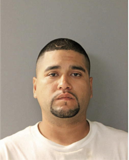ORLANDO FLORES, Cook County, Illinois
