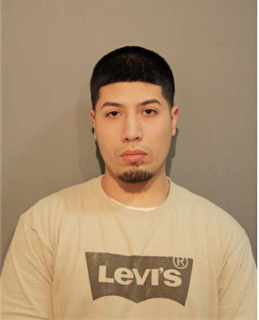 ALEJANDRO FRAUSTO, Cook County, Illinois