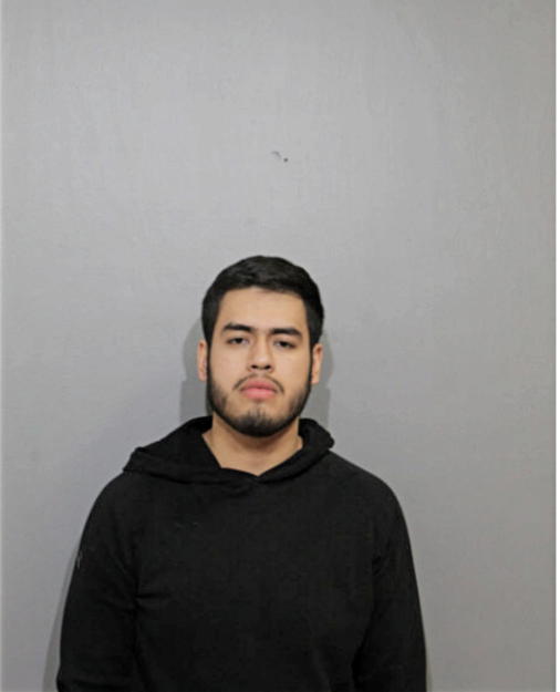 JULIO C FREGOZO, Cook County, Illinois
