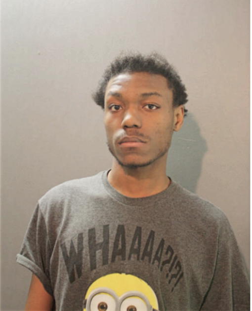 DEVUNDRAY S HANNAH, Cook County, Illinois