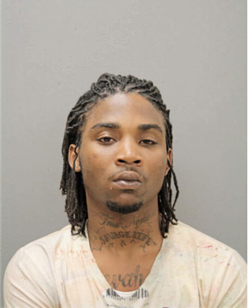 SAVON LAMAR HOLLIS, Cook County, Illinois