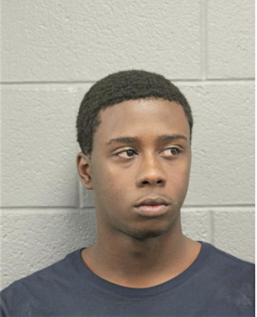 LEON M HORTON, Cook County, Illinois