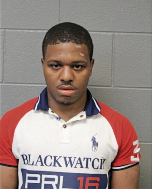 ROBERT M JOHNSON, Cook County, Illinois