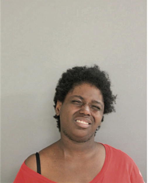 TAMEKA N MCKINNIS, Cook County, Illinois