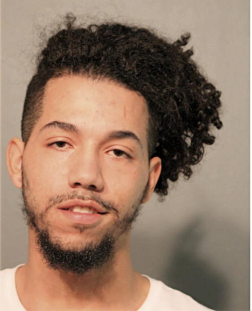AMIEL E OLIVO, Cook County, Illinois