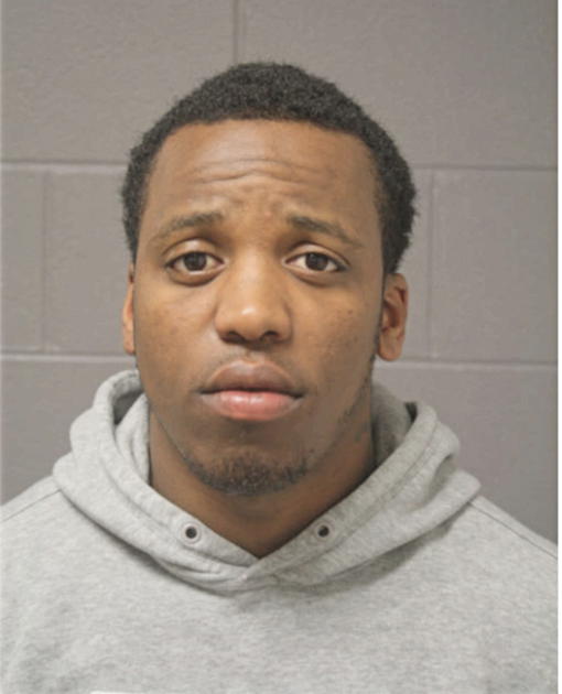 DARRYL B PAIGE, Cook County, Illinois