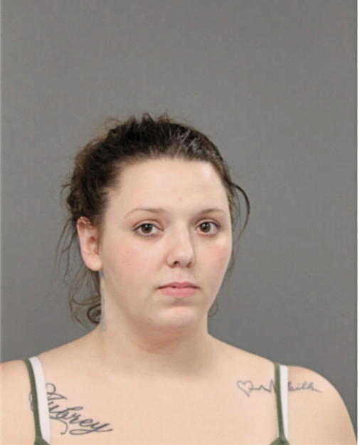 ASHLEY N ROBINSON, Cook County, Illinois