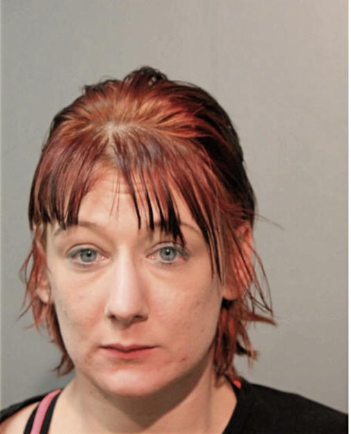 NICOLE K SAKINIS, Cook County, Illinois