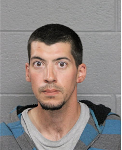 ALEXANDRU J SANNITO, Cook County, Illinois