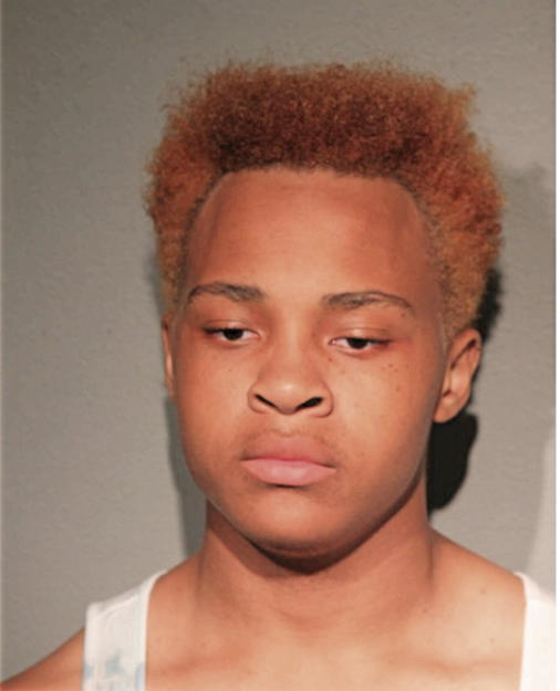 NATHAN K T WRIGHT, Cook County, Illinois