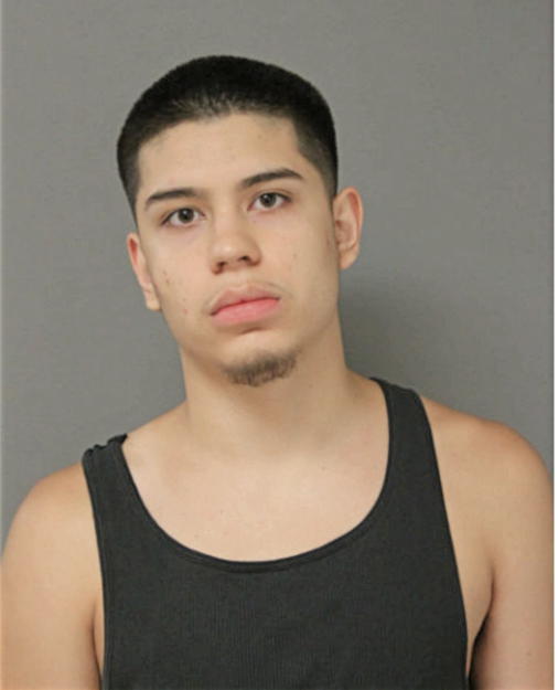 ZACHARY A AVALOS, Cook County, Illinois