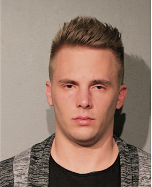 RYAN R CHOINSKI, Cook County, Illinois