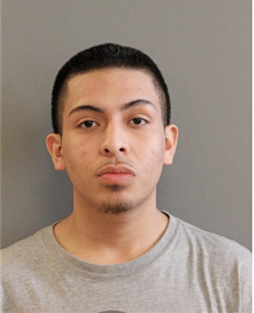 ERWIGN DELGADO, Cook County, Illinois