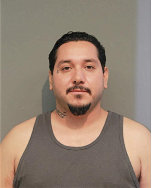 JUAN M ENRIQUEZ, Cook County, Illinois