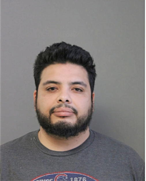 CARLOS L FLORES, Cook County, Illinois