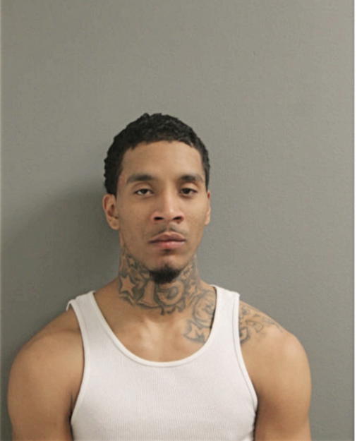 JULIUS R FOSTER, Cook County, Illinois