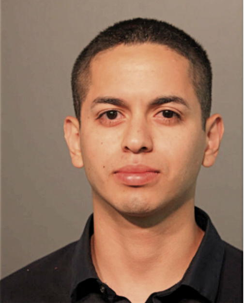 CHRISTIAN A GARCIA-TORRES, Cook County, Illinois