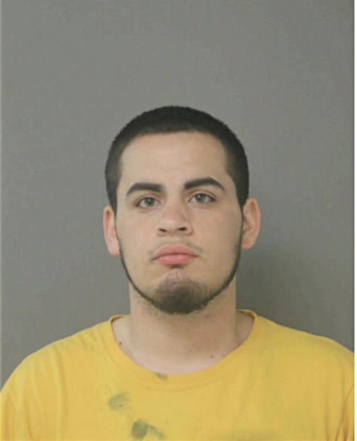ERIC A GUEDES, Cook County, Illinois
