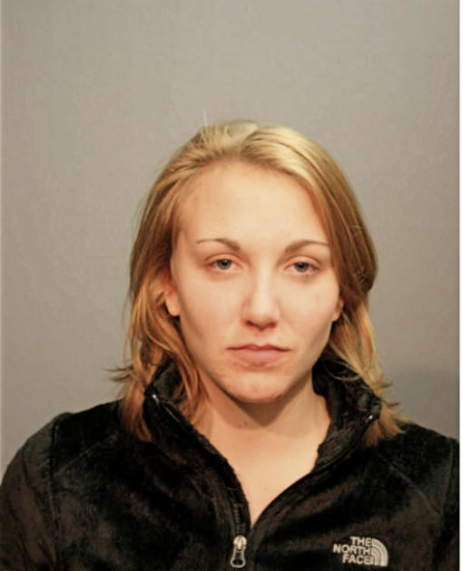 ALEXANDRIA J HEINBERG, Cook County, Illinois