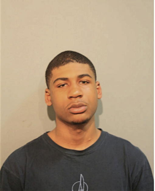 JOSH J HENDERSON, Cook County, Illinois