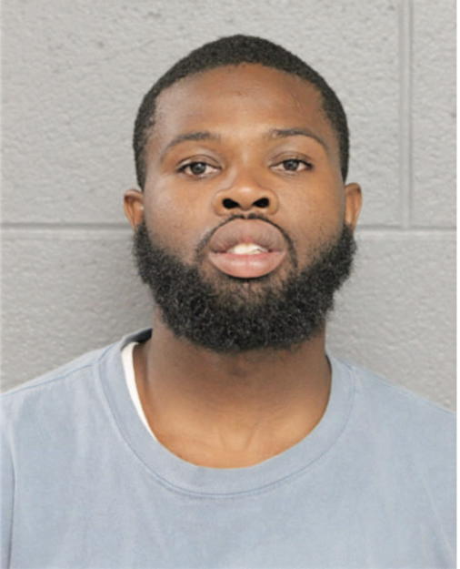 TERRANCE L HOLLINS, Cook County, Illinois