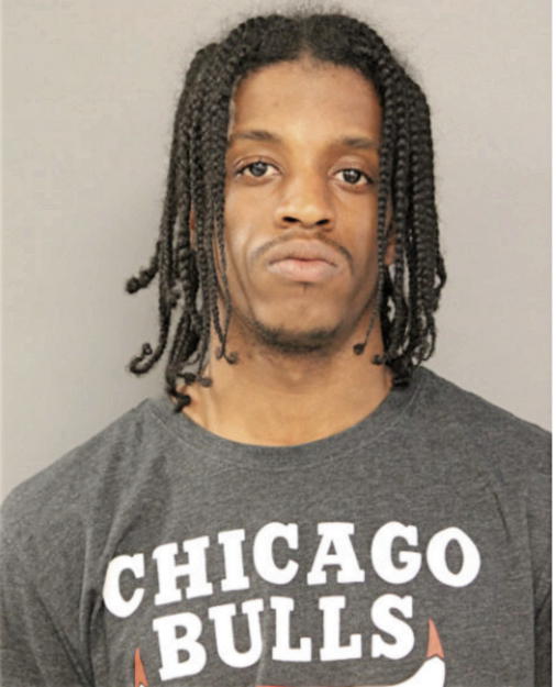 MILES P JOHNSON, Cook County, Illinois