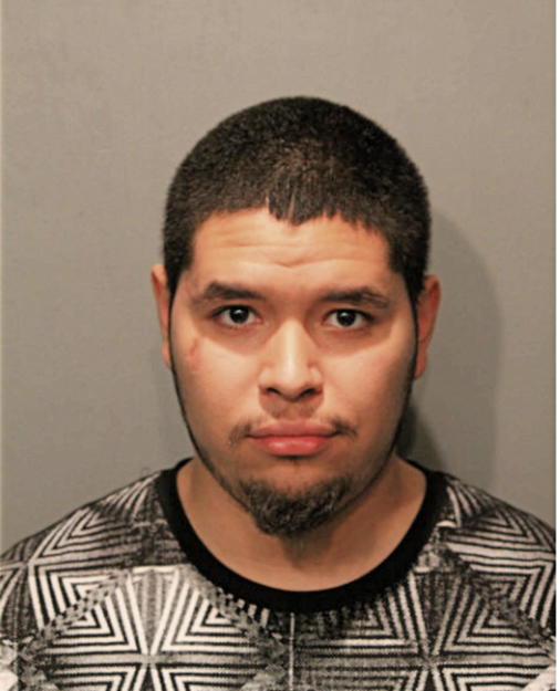 DAVID J MENDEZ, Cook County, Illinois