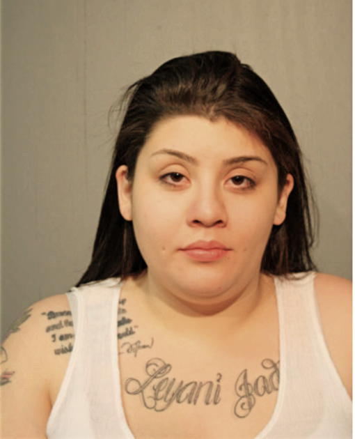 LISETTE NUNEZ, Cook County, Illinois