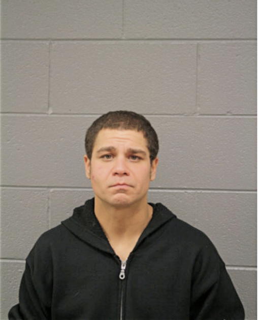 MICHAEL J PERRY, Cook County, Illinois